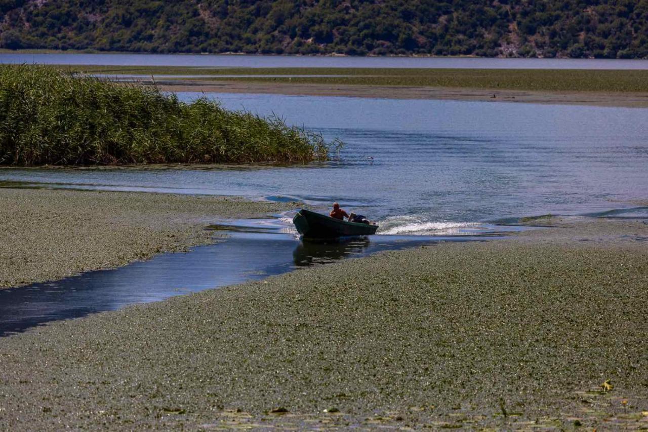 Lake House Buric Vranjina المظهر الخارجي الصورة